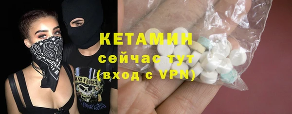 трава Аркадак