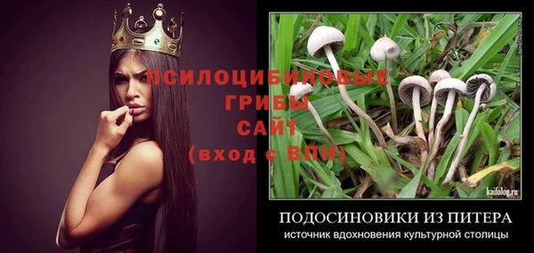 соль ск Алексин