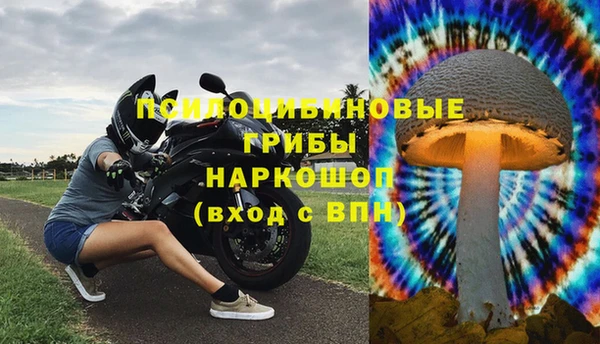 соль ск Алексин