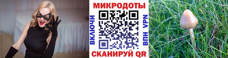 Псилоцибиновые грибы Magic Shrooms  где можно купить   shop телеграм  Суоярви 