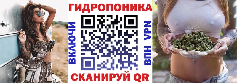 цены   Суоярви  МЕГА ТОР  Канабис планчик 